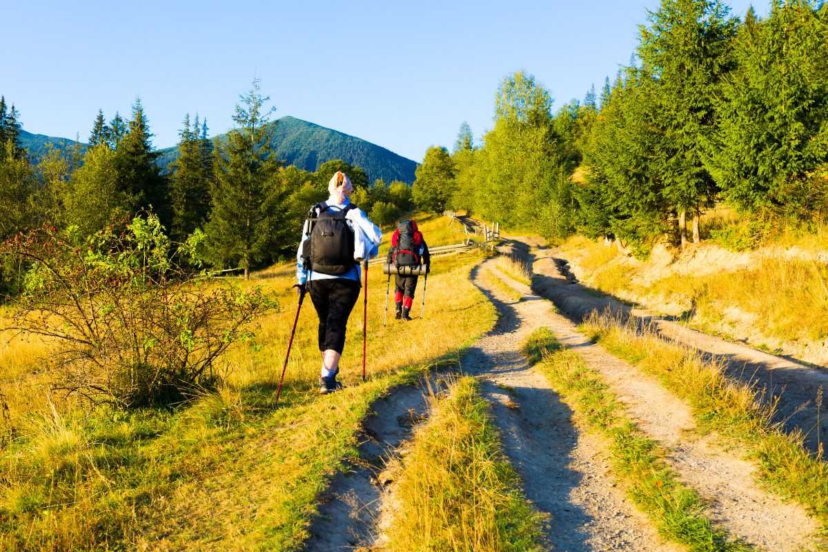 Passeggiata sul Monte Bestone