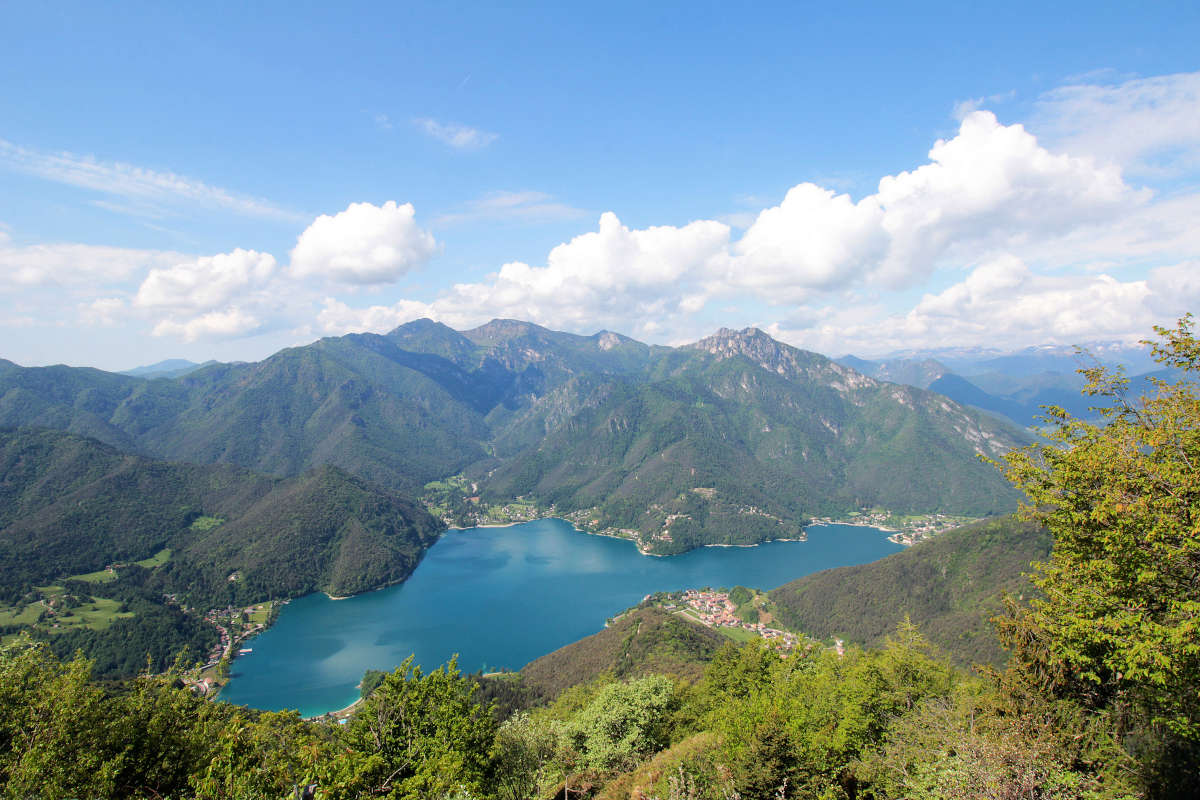 Ledrosee