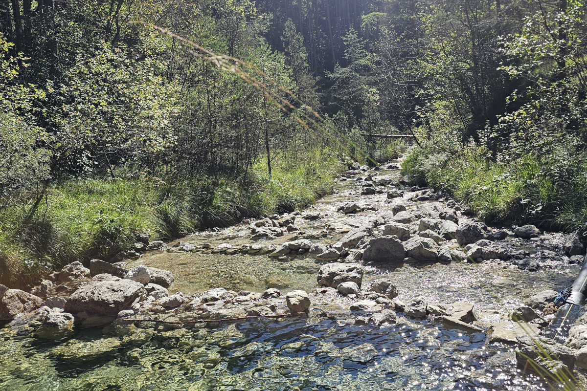Bach im Val di Bondo Bach im Val di Bondo